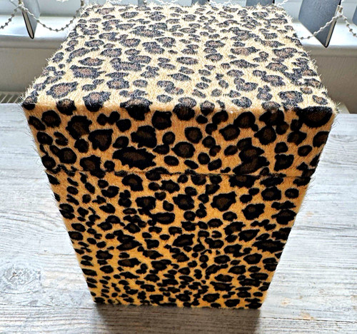 Leopard print square - leopard, box